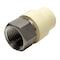 Apollo 1/2 in. x 1/2 in. CPVC CTS Slip Stainless Steel FPT Adapter CPVCFA12 - alternate 4